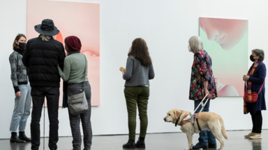 Foto: Kunsthalle Düsseldorf Mehrere Personen (u.a. mit Blindenhund) betrachten ein Bild.