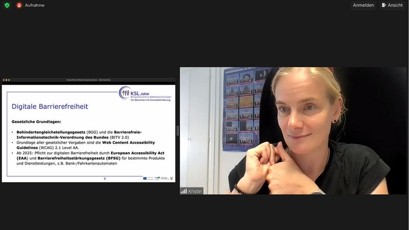 Screenshot von Webinar