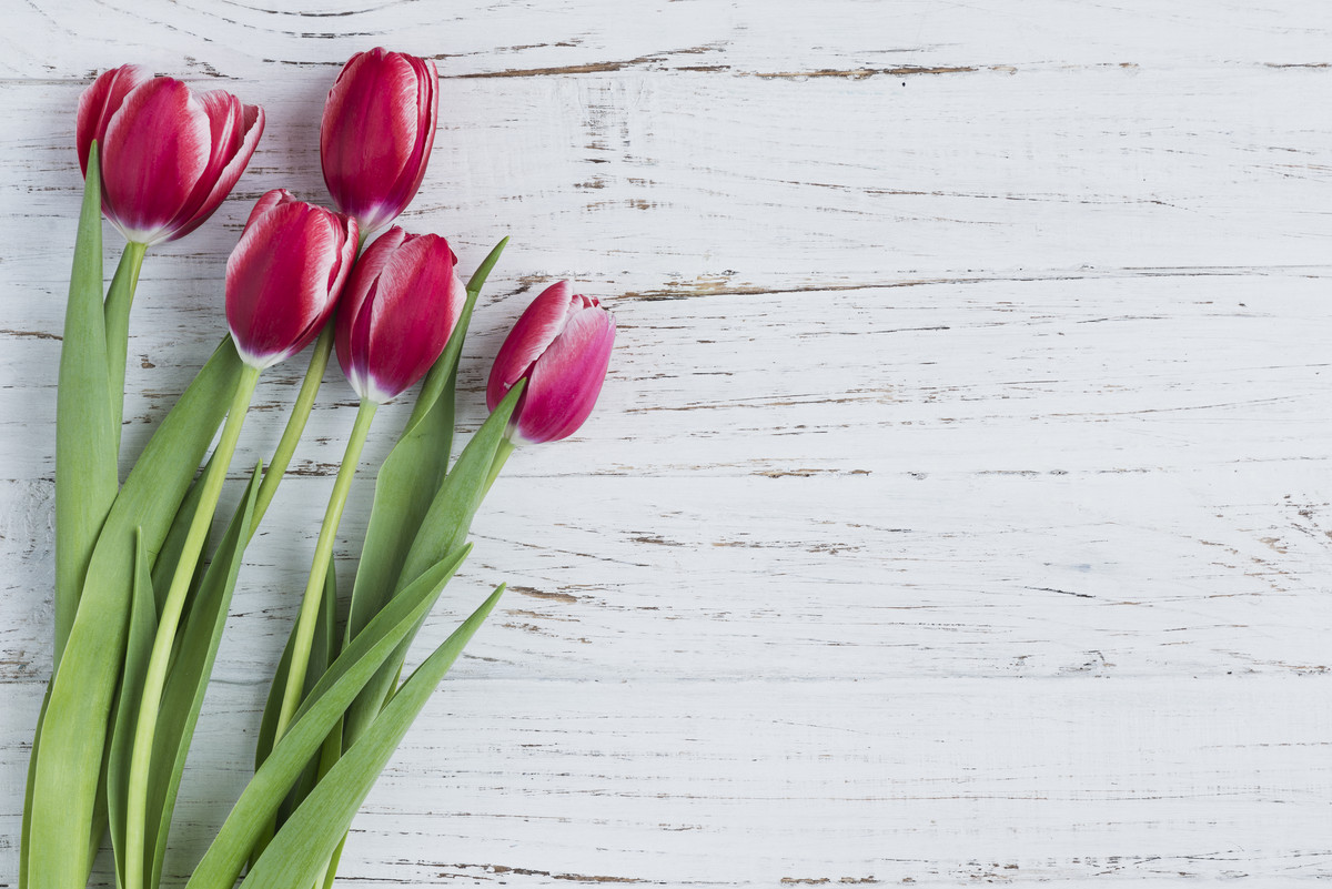 Tulpen auf Holzoptik