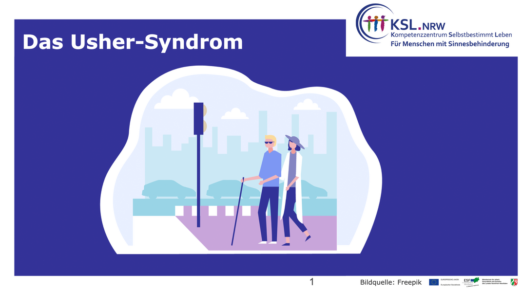 Auszug aus der Präsentation zum Thema Usher-Syndrom